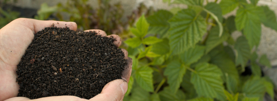 Sustainable solutions in contaminated soil hauling