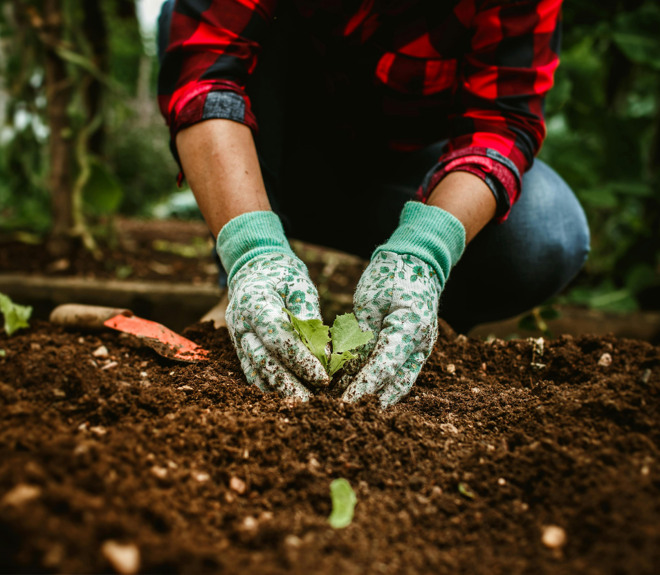Sustainable technologies for contaminated soil hauling